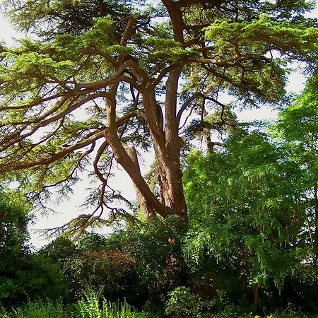 Clos De Bellefontaine Отель типа 