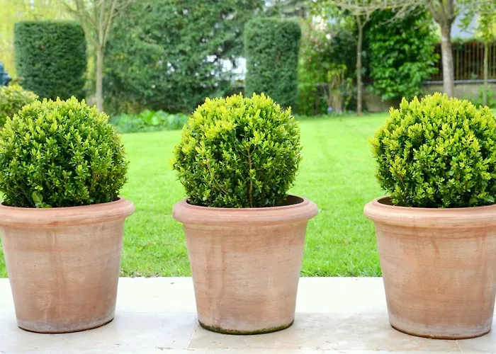 Alojamento de Acomodação e Pequeno-almoço Clos De Bellefontaine Bayeux