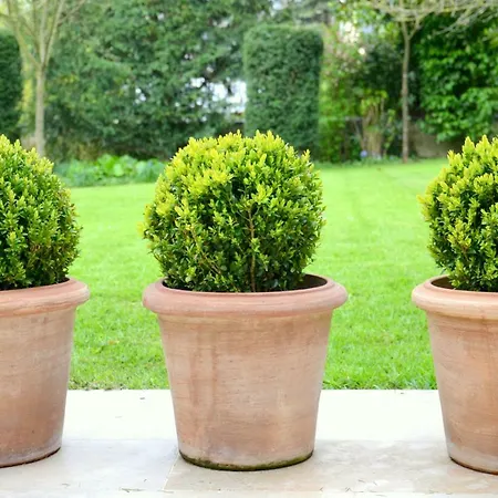 Bed & Breakfast Clos De Bellefontaine Bayeux