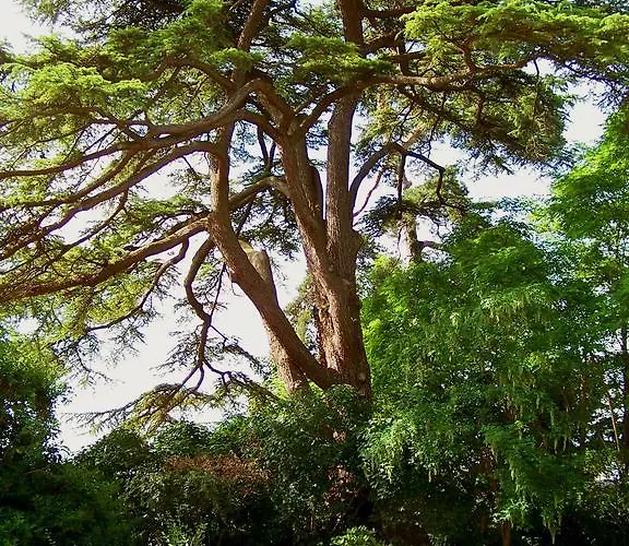 Clos De Bellefontaine B&B 바이외