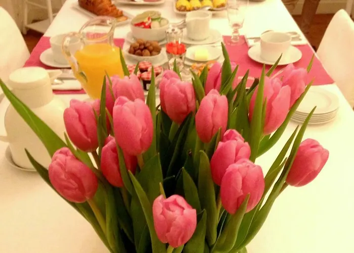 Clos De Bellefontaine 4* באיו